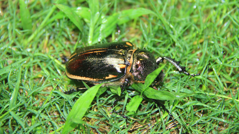 中国の若者が動かすグリーン革命　北京・温榆河「エコ市」が映す未来