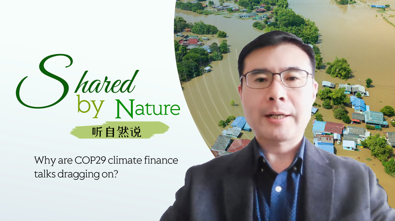 COP29気候資金交渉が難航　中国の位置づけと「誰がどれだけ払うか」 video poster