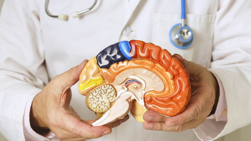 世界パーキンソン病デー：パーキンソン病のキホンをやさしく解説