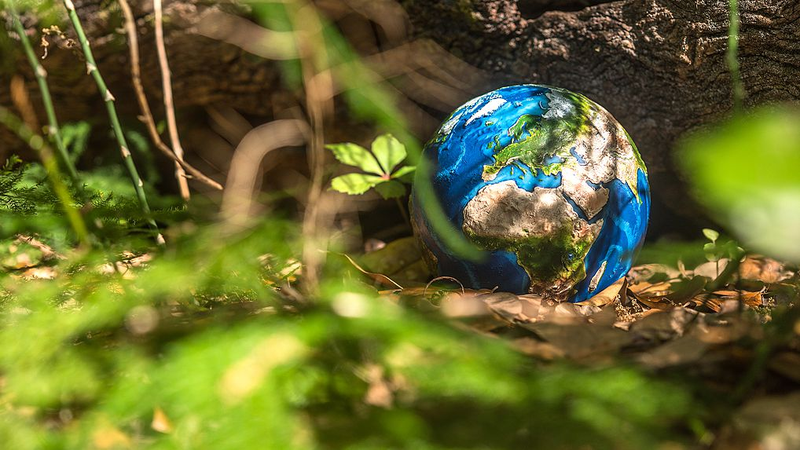 中国とEUが気候変動で共同声明　パリ協定10年、国交50年の節目に