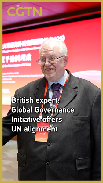 英専門家「グローバル・ガバナンス・イニシアチブは国連憲章と整合」 video poster
