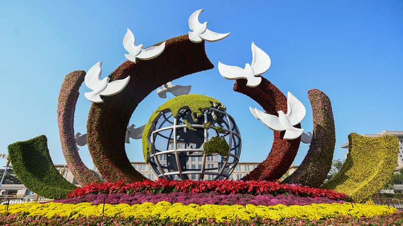 習近平主席の首脳外交　この1年の成果と今後の焦点