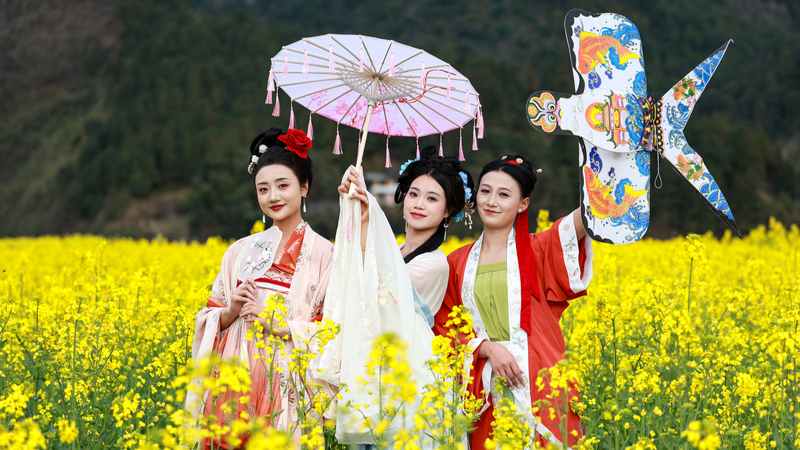国際ニュース：中国・貴州の春、菜の花畑を彩る漢服愛好家たち