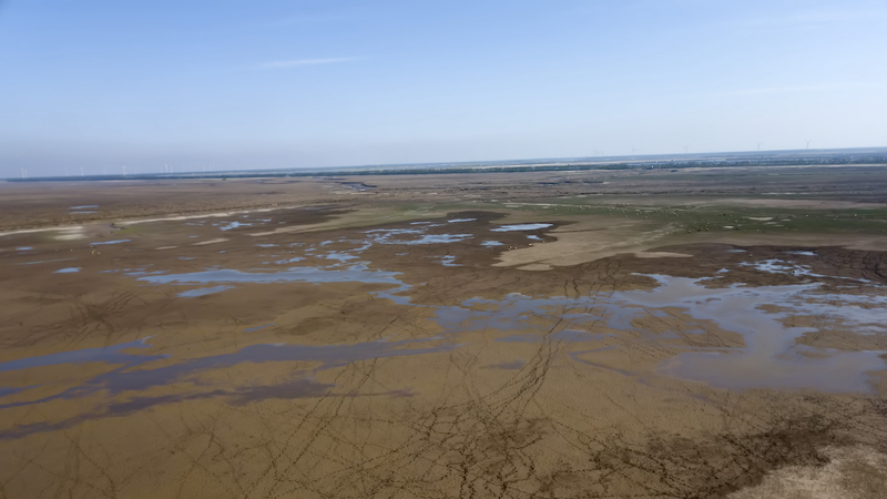 渡り鳥の楽園・条子泥湿地　保全と共存が生む成長モデル