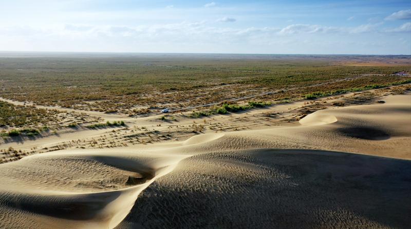 砂漠の間に広がる緑の壁　新疆で3世代が守る14キロ×180キロの森