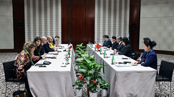 中国とフランス、国際秩序の「安定の力」に　王毅氏とバロ氏が会談