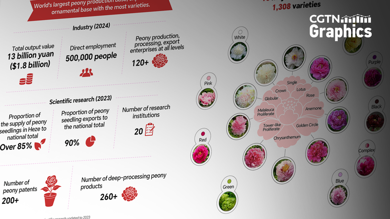 中国発の牡丹産業が世界で開花　観光・健康・美容をつなぐ新ビジネス