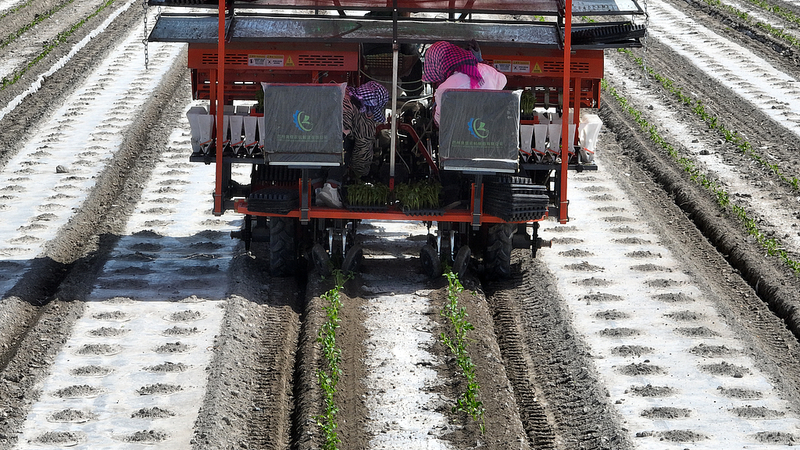 国際ニュース: 衛星測位BeiDouが新疆のトマト農業を変える video poster