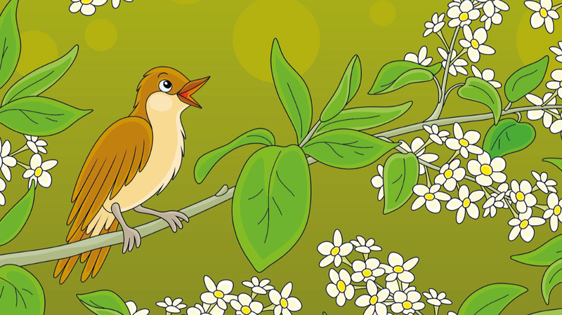 中国を舞台にしたアンデルセン童話「ナイチンゲール」を読み直す