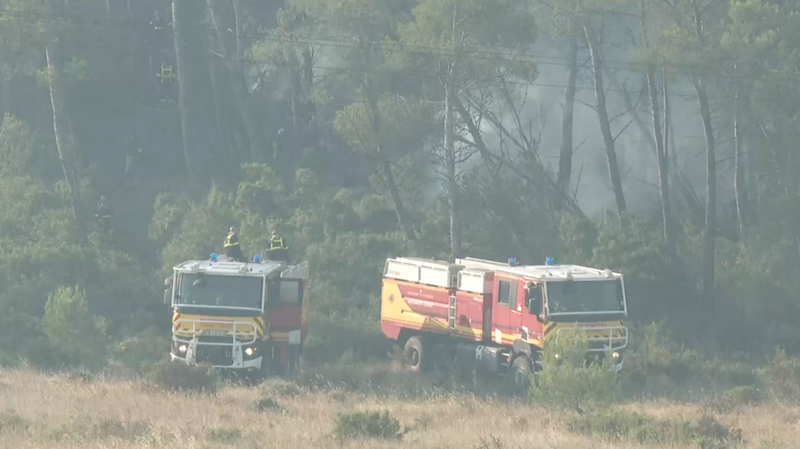 フランス南部で1949年以来最大の山火事　住民と観光客が避難 video poster