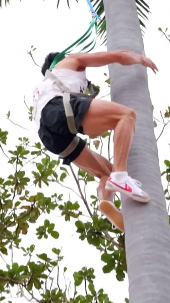 中国・海南でココナツ木登りが全国スポーツ種目に video poster