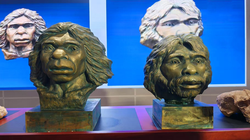 15NNOZDRG2S7XH9Z5DYT-1 - NewsTomo – 日本語で読む、世界のニュースハブ 中国で100万年前の人類化石「雲仙人」を復元 湖北省博物館が公開