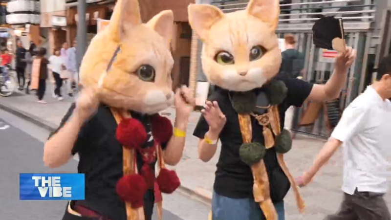 神楽坂化け猫パレード、開始15年で日本の秋を彩る人気イベントに video poster