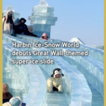 ハルビン氷雪ワールドに万里の長城テーマの超巨大すべり台登場 video poster