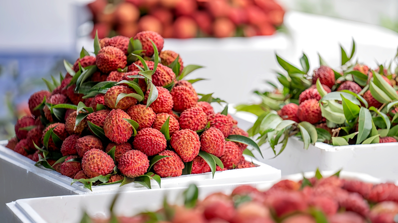 海南省・海口の「火山ライチ」がひらく農村振興の甘い道