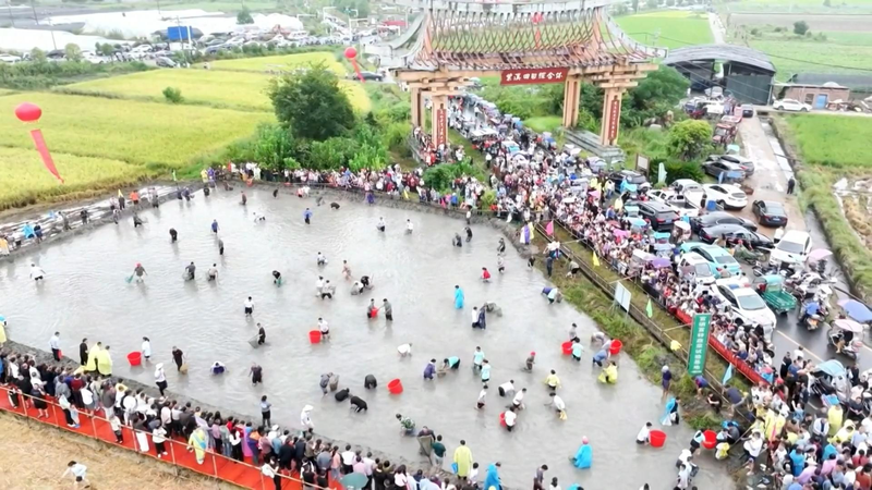 中国本土・江西省で収穫体験イベント　国慶節＆中秋節の農村観光が人気 video poster