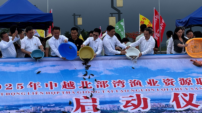 中国とベトナム、北部湾で海洋資源回復へ協力強化 video poster