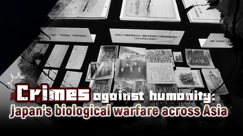 アジアに広がった日本の生物兵器戦：731部隊が残した人道に対する罪 video poster