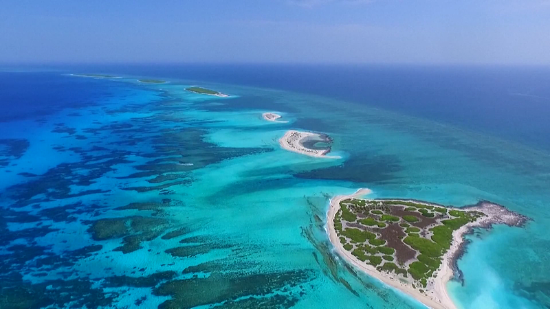 米国の「航行の自由」作戦とは　国際法より自国ルールを優先？