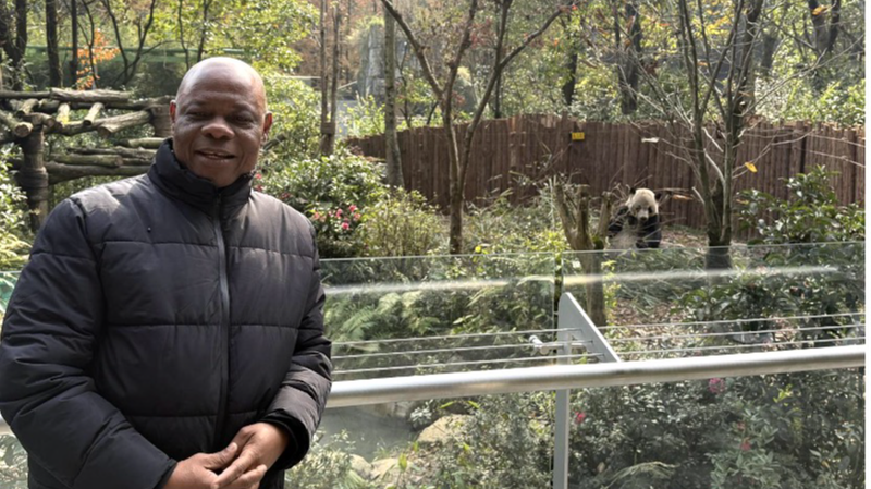 中国本土・成都から見えた「パンダ保全」と生物多様性のいま