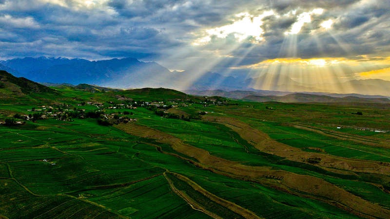 中国の国家公園改革から10年　生物多様性回復と統合管理のいま