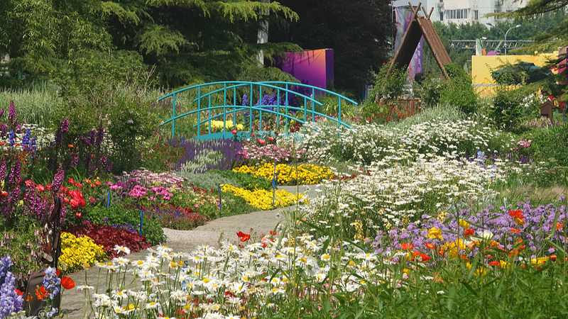 北京の海淀公園、モネの庭に変身　市民ガーデンが彩った5月の景色