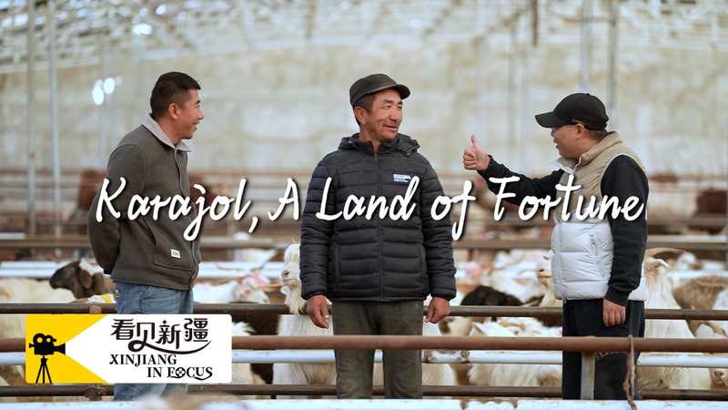 新疆カラジョール発「農民市場」　旅人が切り開くライブ配信と文化継承 video poster