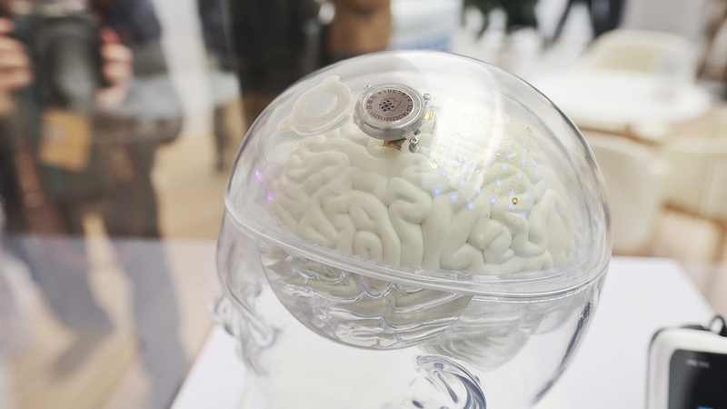 中国のBCI研究と政策が加速　2025年中関村フォーラムで見えた全体像