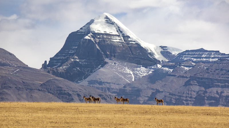 中国とインド、シーザン巡礼を再開へ　国交75年の節目