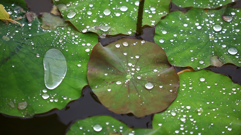 中国で大雨と山洪に警戒　江西や広東などに気象警報