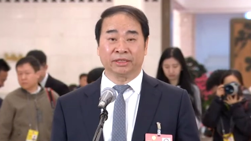 CPPCC王定華氏、デジタル時代の「教育者精神」と教員の地位向上を強調 video poster