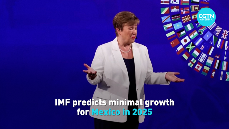 IMFが警告するメキシコの2025年「ごくわずかな経済成長」とは video poster
