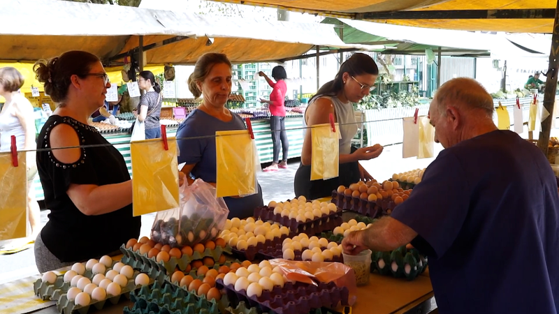 ブラジル卵価格が40％高騰　米国の卵不足で輸出拡大、家計にしわ寄せ video poster