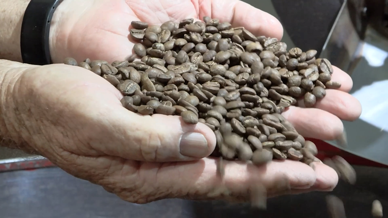 ブラジル農業、「トランプ関税時代」で模索する生き残り策 video poster