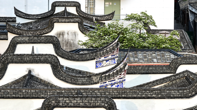 春のFuzhou・Three Lanes and Seven Alleys　Yijin Laneを彩るフリンジツリー