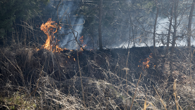 米国南部・中西部で致命的な暴風雨　少なくとも42人死亡