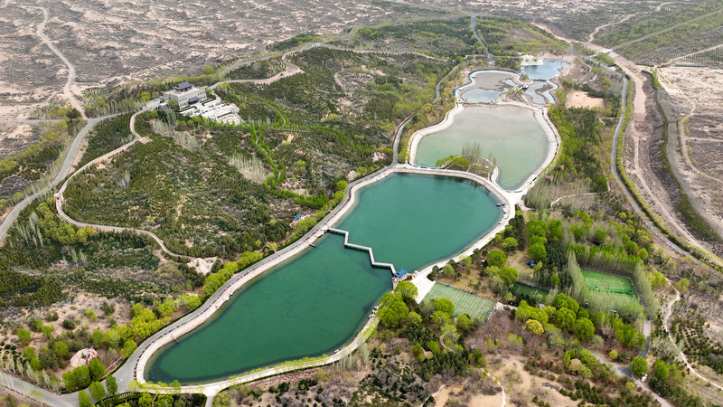 中国・寧夏の「緑の進化」 国連COP16が注目した砂漠化対策