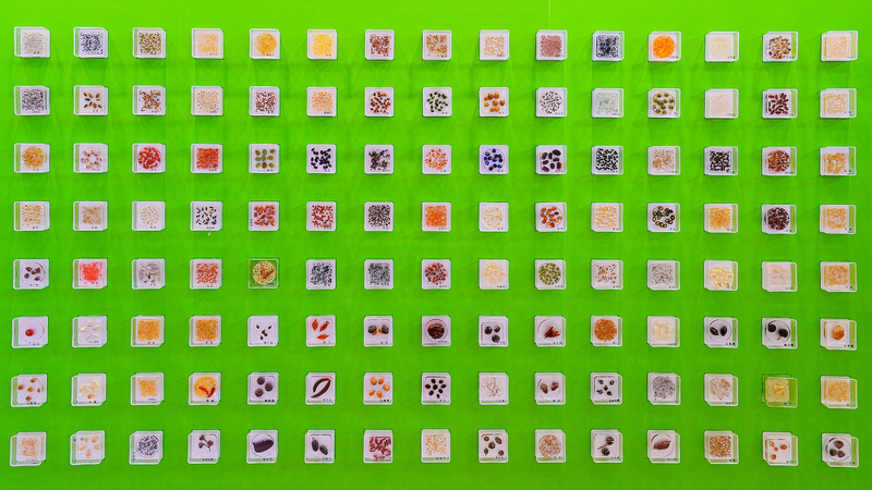 北京が作物遺伝資源の保存で世界をリード　食料安全保障はどう変わる？