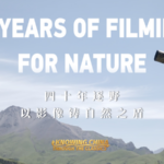 中国本土で40年、野生動物を撮る奚志農氏——密猟の記録と生息地保全 video poster