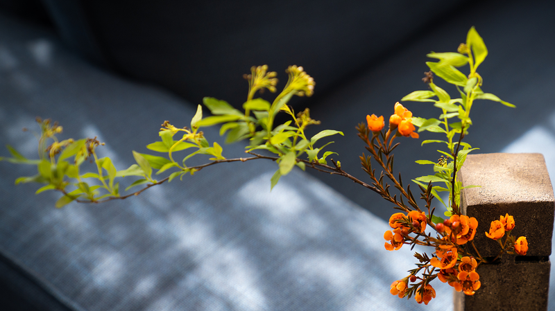 夜の胡同から「孤独な自転車」まで：中国のささやかな気づきの技法