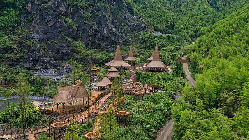 中国カーボン市場が生む金山銀山 浙江省安吉の竹林モデル