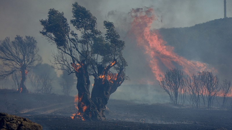 南ヨーロッパで山火事拡大　熱波と干ばつが生む「消えない炎」