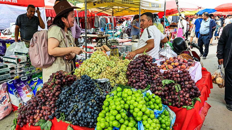 新疆ウイグル自治区の安定と発展を現地で実感　エジプト専門家が語る