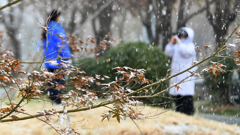 中国で寒波続く：中東部で最大12℃超の急降下、強風・大雪にも警戒