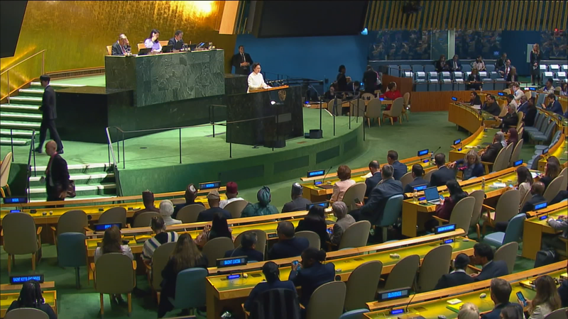 国連女性会議30周年：中国代表が語ったジェンダー平等と女性支援 video poster