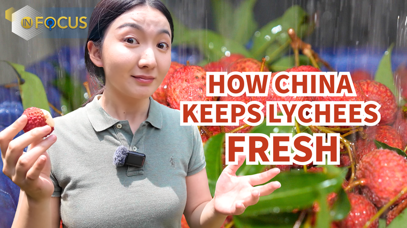 中国のライチはこうして世界へ　傷みやすい果物を守る鮮度管理 video poster