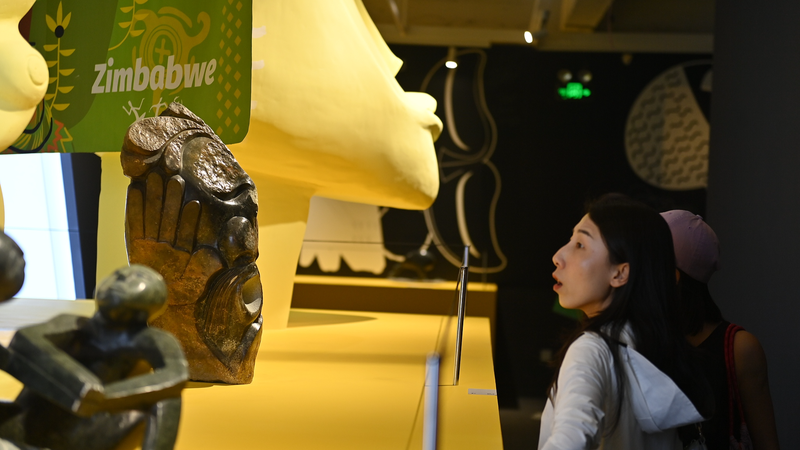 中国の観光ブームが加速する中国・アフリカ観光協力