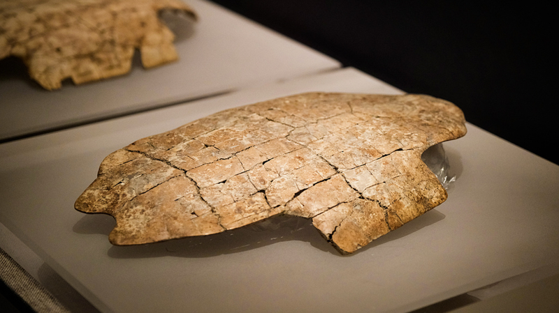 甲骨文字が春節ロゴに　蛇年マスコット「巳巳生」に込めたデザイン