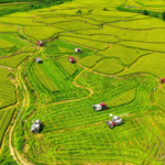 中国、中央農村工作会議を開催　2026年の農村政策の優先課題を整理