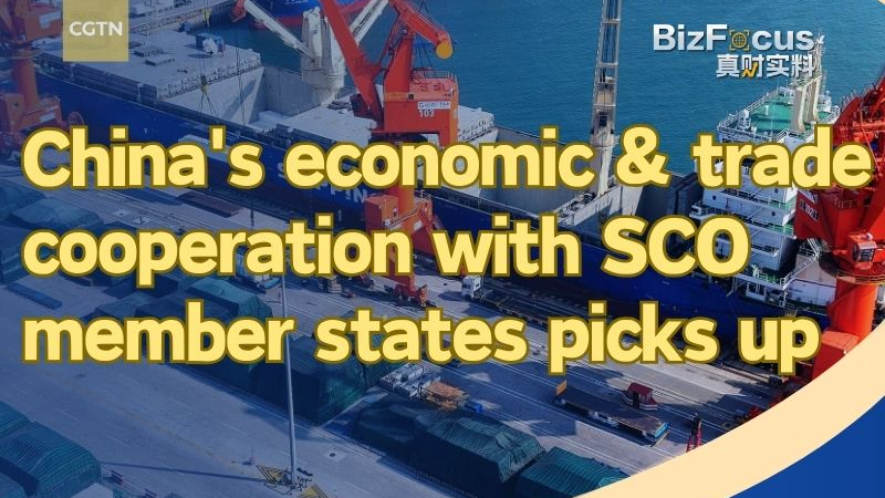 中国とSCO加盟国の経済・貿易協力が加速　2001年から貿易額30倍超